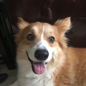 Meet your Posher, Wilson